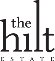 The hilt