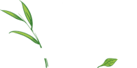 Wood hollow cabinets inc