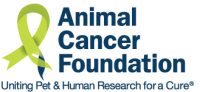 Animal cancer foundation