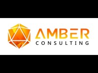 Amber consulting