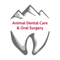 Animal dental care