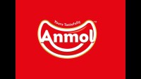 Anmol industries limited