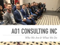 Ao1 consulting inc
