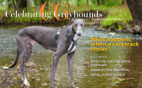 The Greyhound Project, Inc