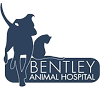Bentley animal hospital