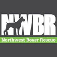 Boxer northwest