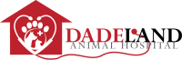 Dadeland animal hospital