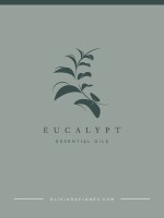Eucalypt