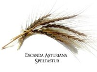 Escanda Asturiana - Speltastur
