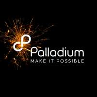 Palladium strategy consultants