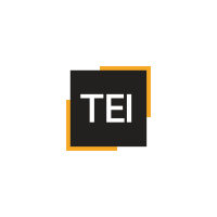 TEI LIMITED