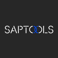 Saptools Consulting S.L