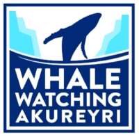 Whale watching akureyri