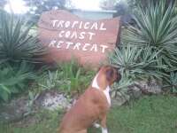 Tropical coast retreat
