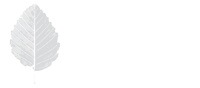 Alisos – alianzas para la sostenibilidad