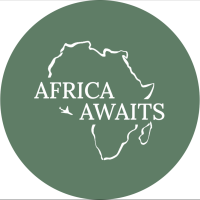 Africa awaits tours & safaris