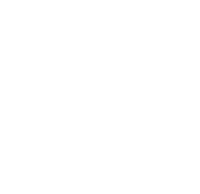 Lot fourteen