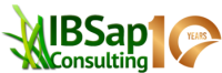 Ibsap consulting s.l.