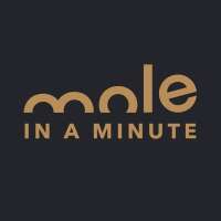 Mole in a minute