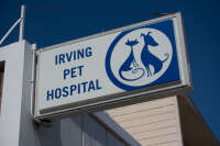Irving pet hospital