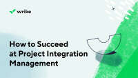 Project integration management services