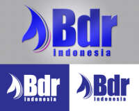 Pt bdr indonesia