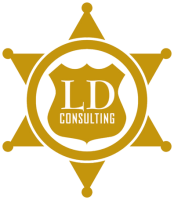 L.d. consulting group, llc