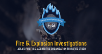 Forensic investigations group, llc