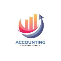 Professioanal acounting& consulting llc.