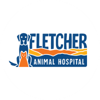 Fletcher veterinary practice