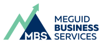Meguid business services