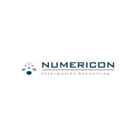 Numericon information consulting
