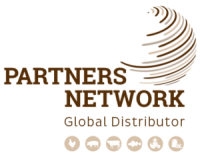 Network partners int'l