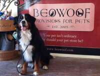 Beowoof provisions for pets