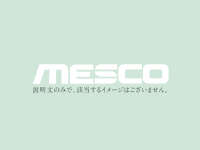 Mesco electronics