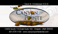 Canyon pointe dental lc