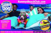 Rummy's beach club, llc