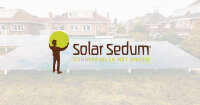 Solar Sedum