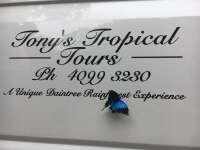 Tony's tropical tours